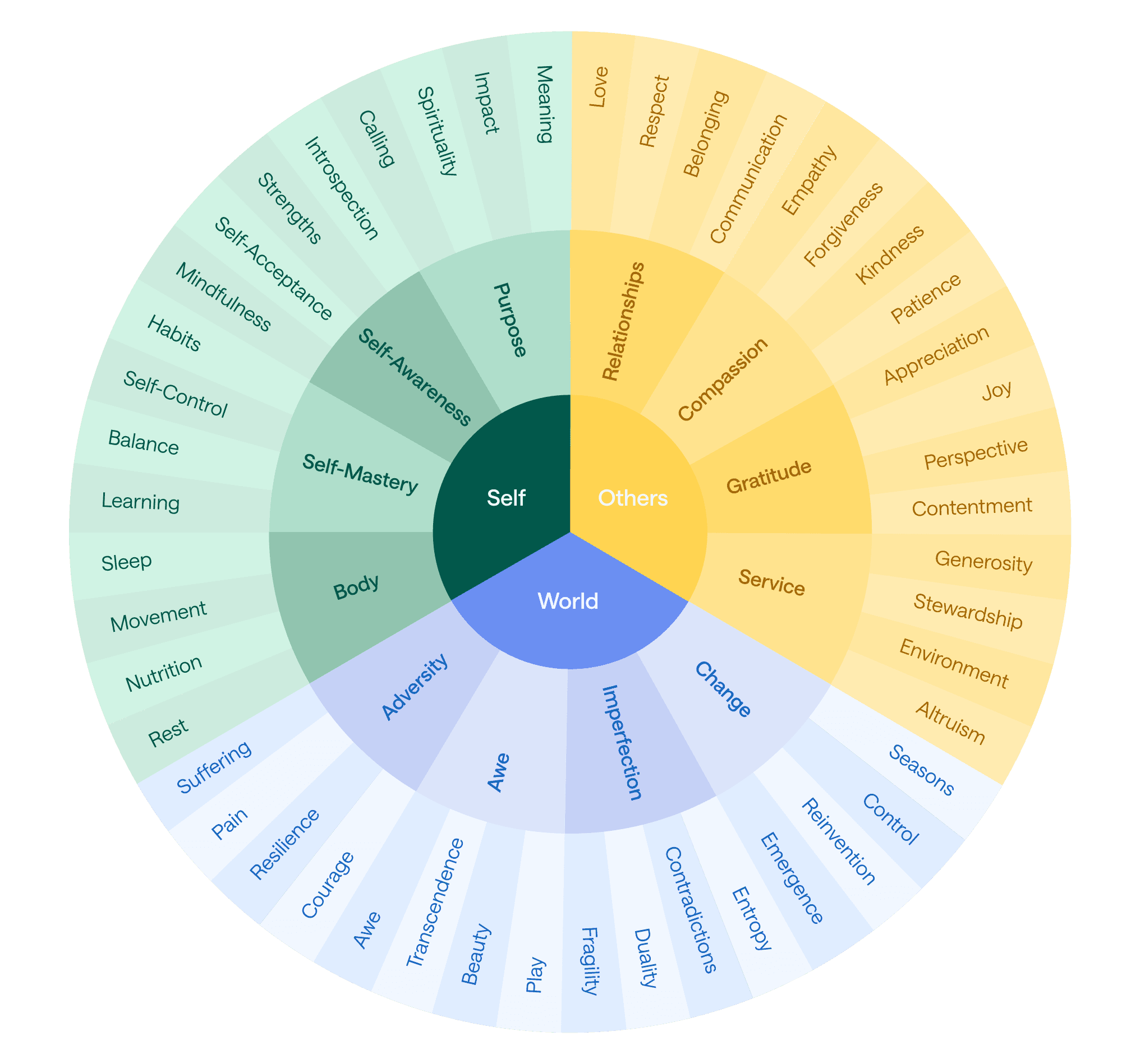 The twelve guiding themes arranged as a wheel around Self, Others and World